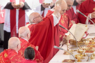 NEWS - Die Welt begeht den Palm-Sonntag