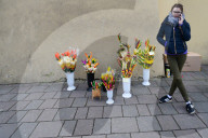 NEWS - Die Welt begeht den Palm-Sonntag