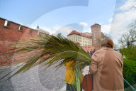 NEWS - Die Welt begeht den Palm-Sonntag