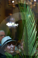 NEWS - Die Welt begeht den Palm-Sonntag
