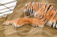 FEATURE - Sandskulpturen in Dorset