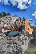 FEATURE - Der Dingo der das Klettern liebt
