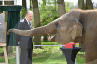 PEOPLE - Queen Elizabeth und Prinz Philip eröffnen das Elefantenzentrum im Zoo von Bedfordshire