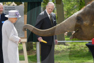 PEOPLE - Queen Elizabeth und Prinz Philip eröffnen das Elefantenzentrum im Zoo von Bedfordshire