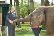 PEOPLE - Queen Elizabeth und Prinz Philip eröffnen das Elefantenzentrum im Zoo von Bedfordshire