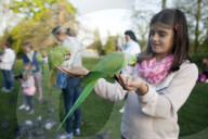 FEATURE - Papageien im Kensington Garten in London