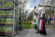 FEATURE - Tulpensegnung in Lisse 