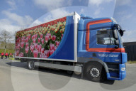 FEATURE - Tulpensegnung in Lisse 