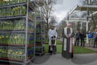 FEATURE - Tulpensegnung in Lisse 