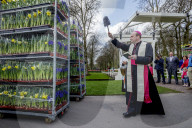 FEATURE - Tulpensegnung in Lisse 