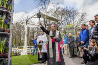 FEATURE - Tulpensegnung in Lisse 