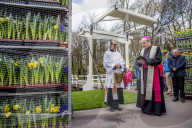 FEATURE - Tulpensegnung in Lisse 