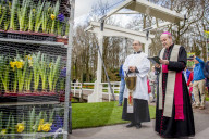 FEATURE - Tulpensegnung in Lisse 