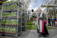 FEATURE - Tulpensegnung in Lisse 