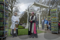 FEATURE - Tulpensegnung in Lisse 