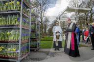 FEATURE - Tulpensegnung in Lisse 