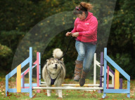 FEATURE - Wellness Lager für fette Hunde