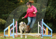 FEATURE - Wellness Lager für fette Hunde
