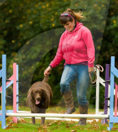 FEATURE - Wellness Lager für fette Hunde