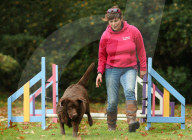 FEATURE - Wellness Lager für fette Hunde