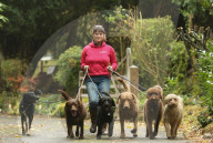 FEATURE - Wellness Lager für fette Hunde