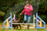 FEATURE - Wellness Lager für fette Hunde