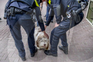 FEATURE - Tröstehunde im Einsatz für die Rotterdamer Polizei