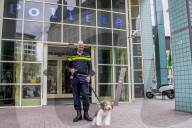 FEATURE - Tröstehunde im Einsatz für die Rotterdamer Polizei