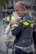 FEATURE - Tröstehunde im Einsatz für die Rotterdamer Polizei