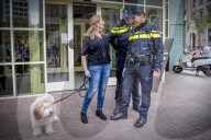 FEATURE - Tröstehunde im Einsatz für die Rotterdamer Polizei