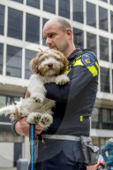 FEATURE - Tröstehunde im Einsatz für die Rotterdamer Polizei