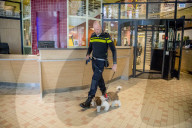 FEATURE - Tröstehunde im Einsatz für die Rotterdamer Polizei