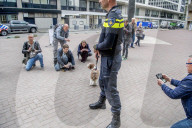 FEATURE - Tröstehunde im Einsatz für die Rotterdamer Polizei
