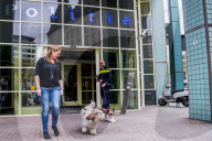 FEATURE - Tröstehunde im Einsatz für die Rotterdamer Polizei
