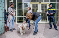 FEATURE - Tröstehunde im Einsatz für die Rotterdamer Polizei