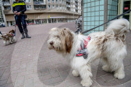 FEATURE - Tröstehunde im Einsatz für die Rotterdamer Polizei