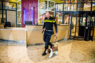 FEATURE - Tröstehunde im Einsatz für die Rotterdamer Polizei