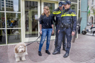 FEATURE - Tröstehunde im Einsatz für die Rotterdamer Polizei