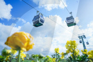 NEWS - Eine Seilbahn für Berlin: Eröffnung der Internationalen Gartenausstellung