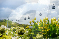 NEWS - Eine Seilbahn für Berlin: Eröffnung der Internationalen Gartenausstellung