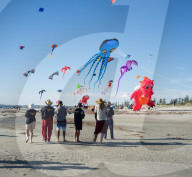 FEATURE - Drachenfestival in Adelaide