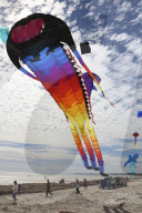 FEATURE - Drachenfestival in Adelaide