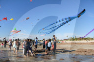 FEATURE - Drachenfestival in Adelaide