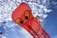 FEATURE - Drachenfestival in Adelaide