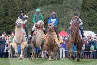 FEATURE - Kamelrennen in Norfolk