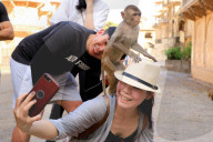 FEATURE - Makaken nehmen ein kÃ¼hles Bad im Galta ji Tempel in Jaipur
