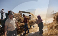 REPORTAGE - Bauern im Gaza Streifen