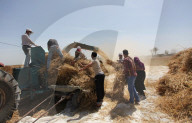 REPORTAGE - Bauern im Gaza Streifen