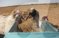 REPORTAGE - Bauern im Gaza Streifen