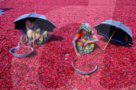 REPORTAGE - Bangladesch: Alltag in Dhaka